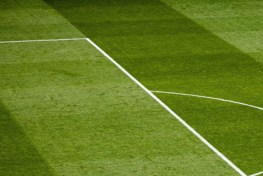 Credit: Katsumi Murouchi / Getty