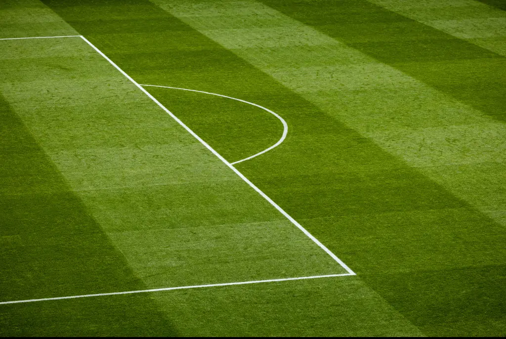 Credit: Katsumi Murouchi / Getty