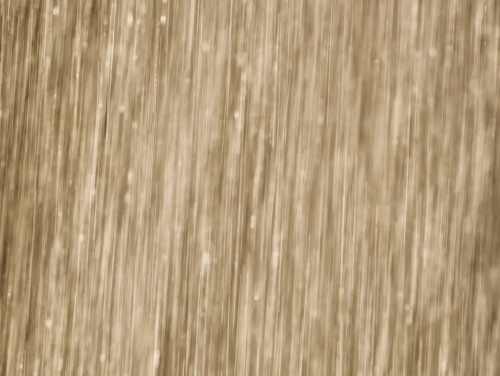 There's a scientific explanation as to why you can smell when rain is coming