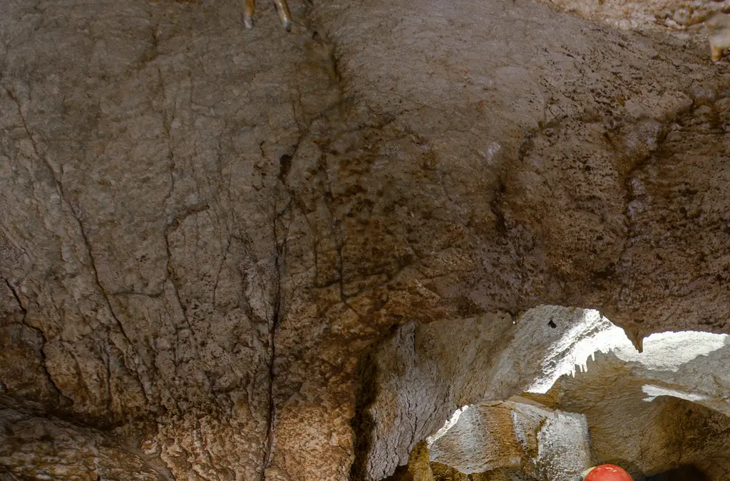 Last person to see man who suffered 'worst death imaginable' explains why he couldn't rescue him