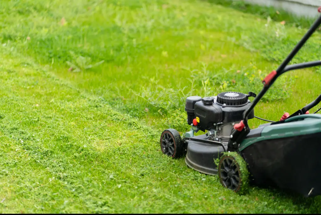 Stock image of a lawnmower. Credit: Andrija Nikolic / Getty