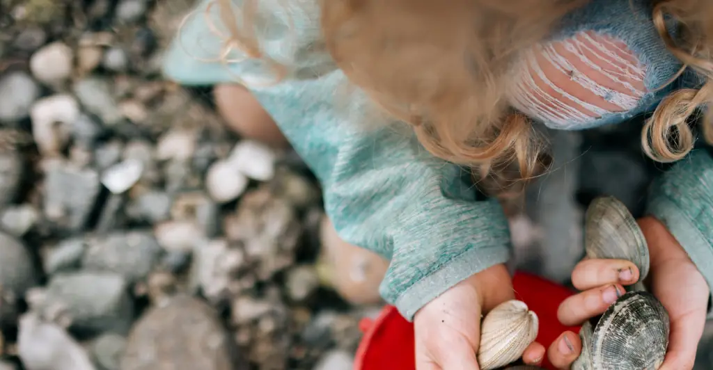 California mom receives fine for $89,000 after her kids collected 72 clams from beach