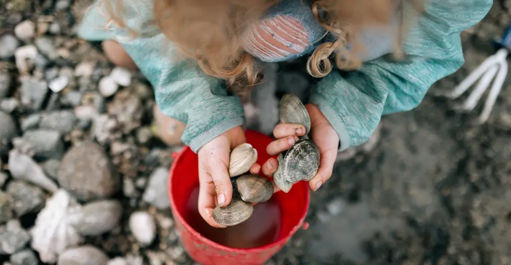 California mom receives fine for $89,000 after her kids collected 72 clams from beach