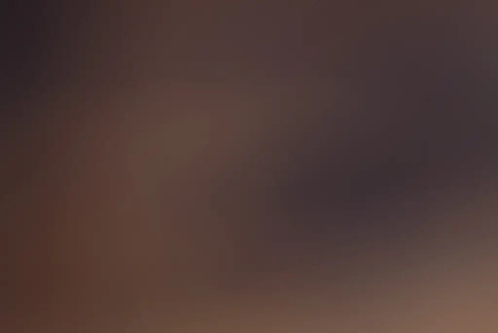 Boy who told court his mom drowned his sister when he was seven has made chilling admission 17 years later