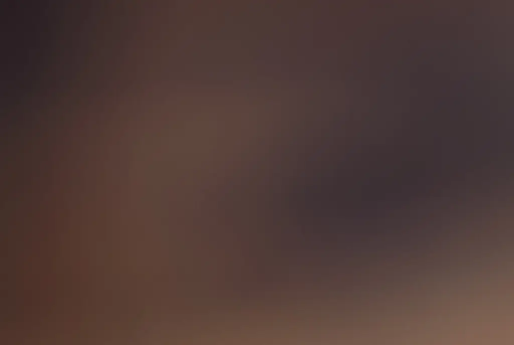 Boy who told court his mom drowned his sister when he was seven has made chilling admission 17 years later