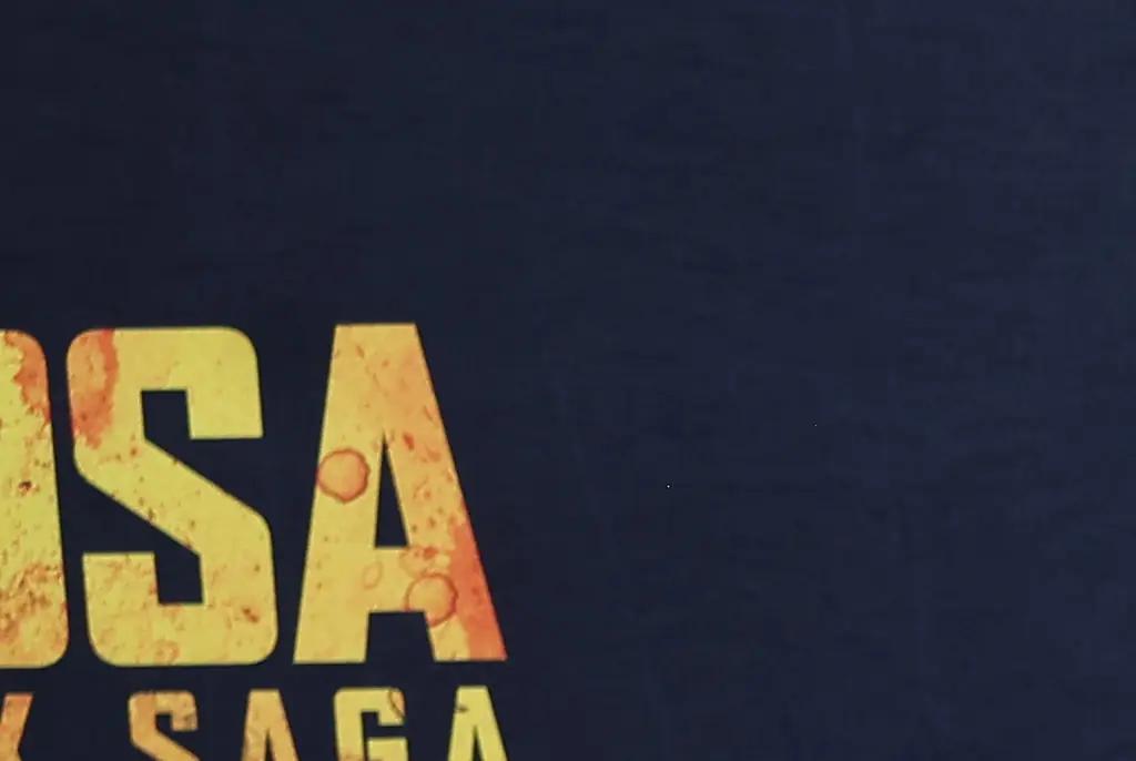 Quaden Bayles - bullied boy with dwarfism - delights viewers with role in 'Furiosa: From the Mad Max Saga'