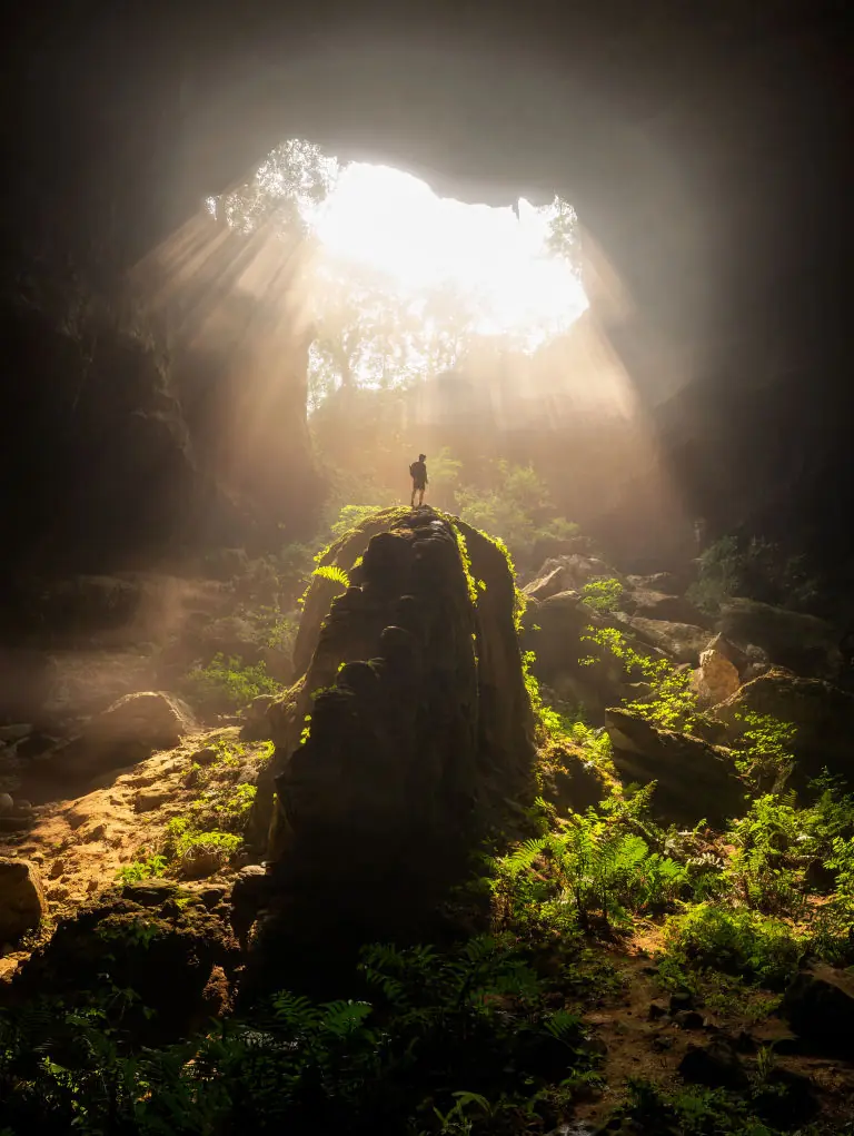 Incredible forest worlds have been discovered in sinkholes in China. Credit: VCG/VCG via Getty Images