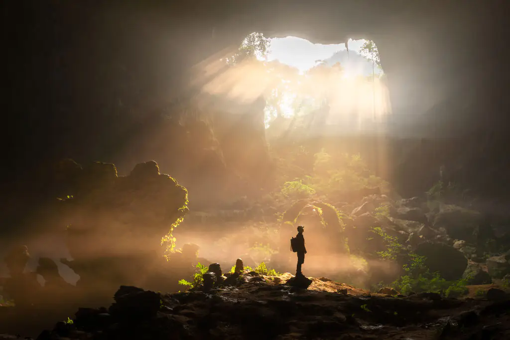Breathtaking ancient forest world is discovered 630ft below ground in sinkhole in China