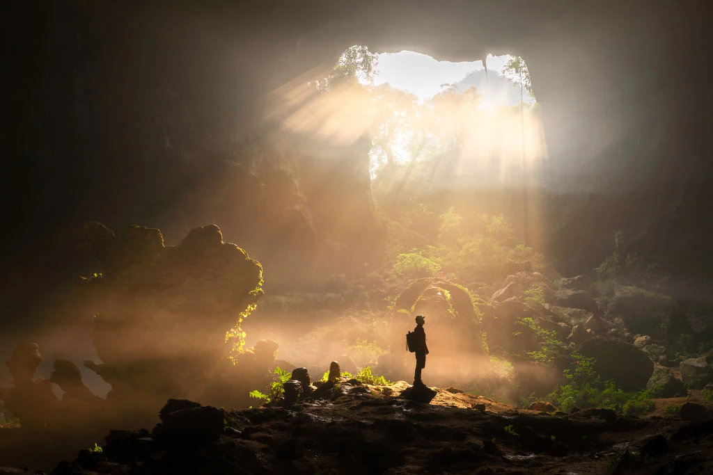 Breathtaking ancient forest world is discovered 630ft below ground in sinkhole in China