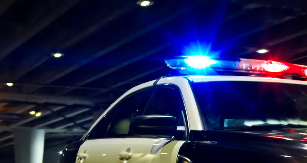 Lawyer speaks out on teen's potential motive after allegedly killing parents and 3 siblings