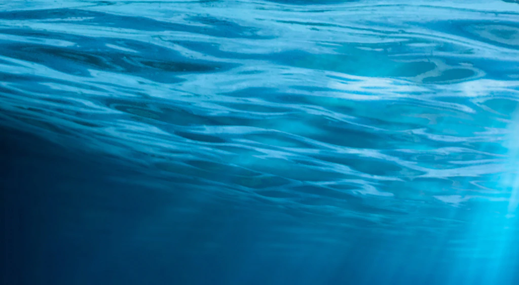 People make same horrifying observation as man drops GoPro from cruise ship into ocean to see what's down there