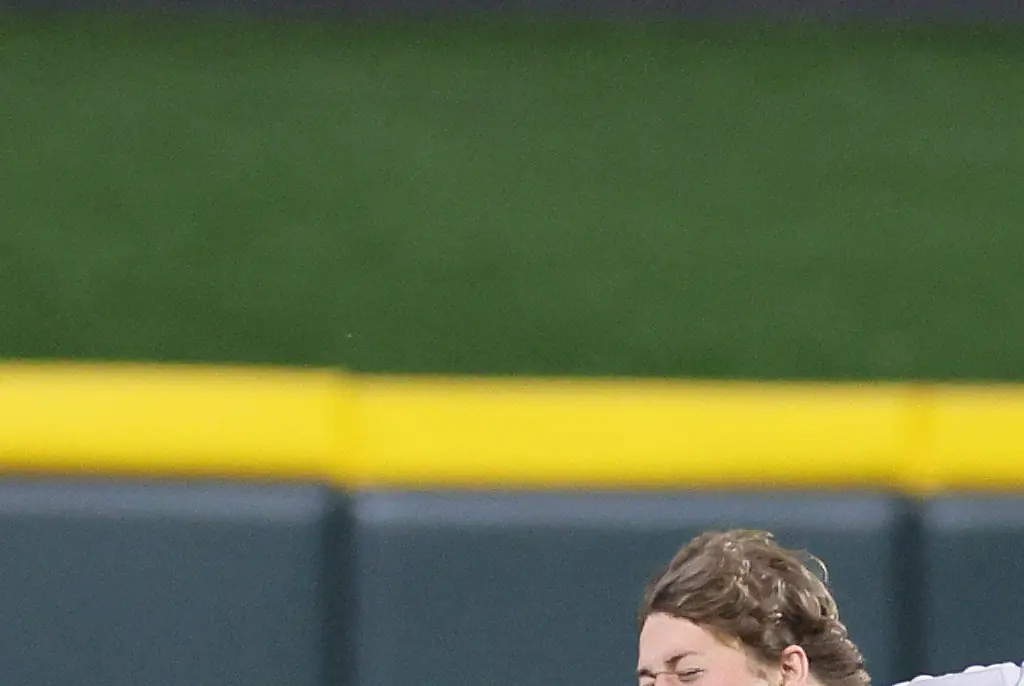 Fan invader tased as he runs onto baseball field