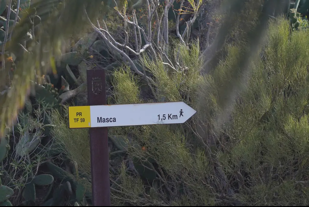 Human remains were discovered in the village of Masca. Credit: Europa Press News / Getty