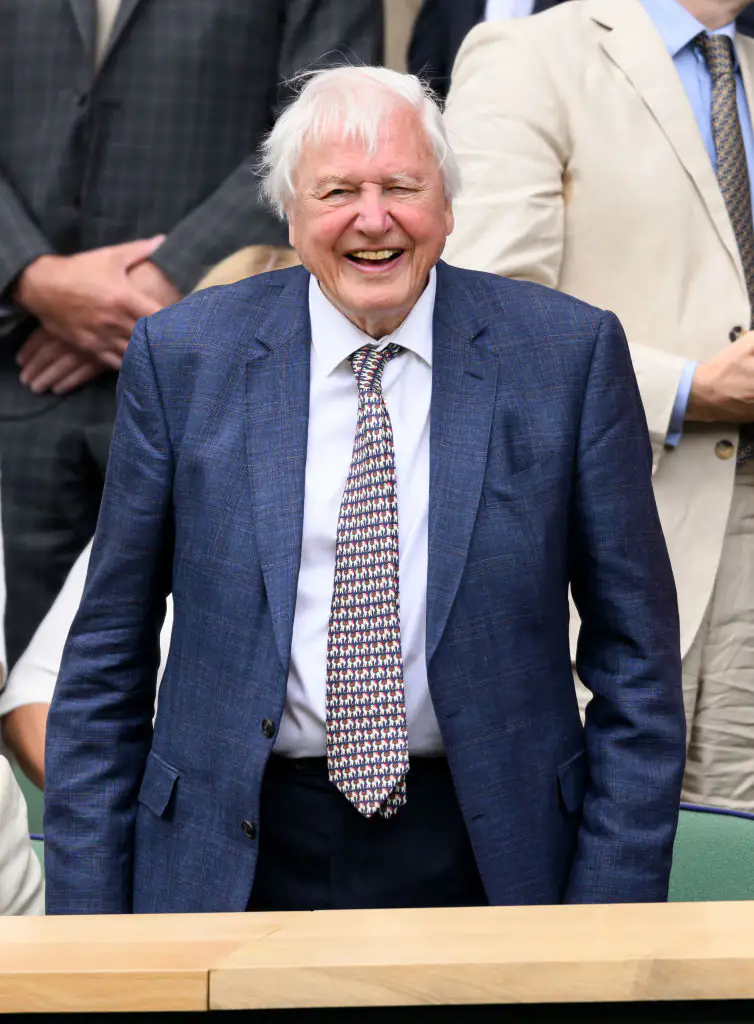 Attenborough opens up about approaching 'the end of his life' in his latest project.. Credit: Karwai Tang/WireImage/Getty Images