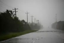rain