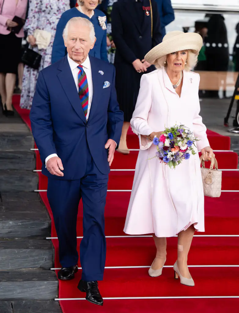King Charles has been battling an undisclosed form of cancer. Credit: Samir Hussein / Getty