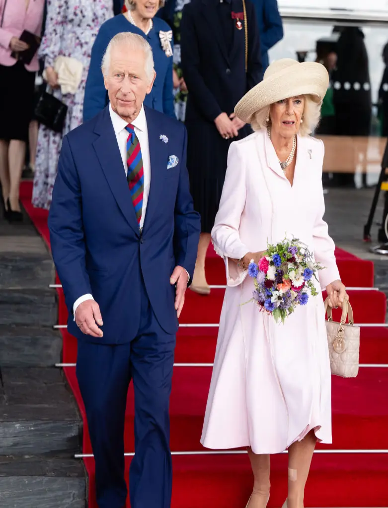 King Charles has been battling an undisclosed form of cancer. Credit: Samir Hussein / Getty