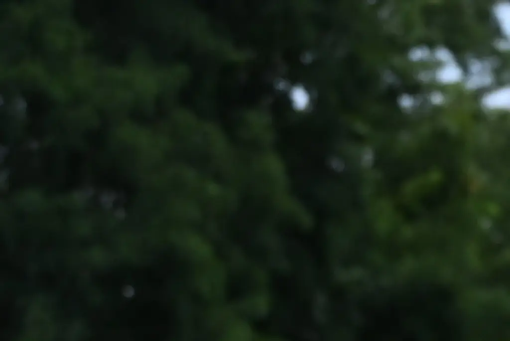 More chilling details emerge about Trump shooter - final phone search, drone flight