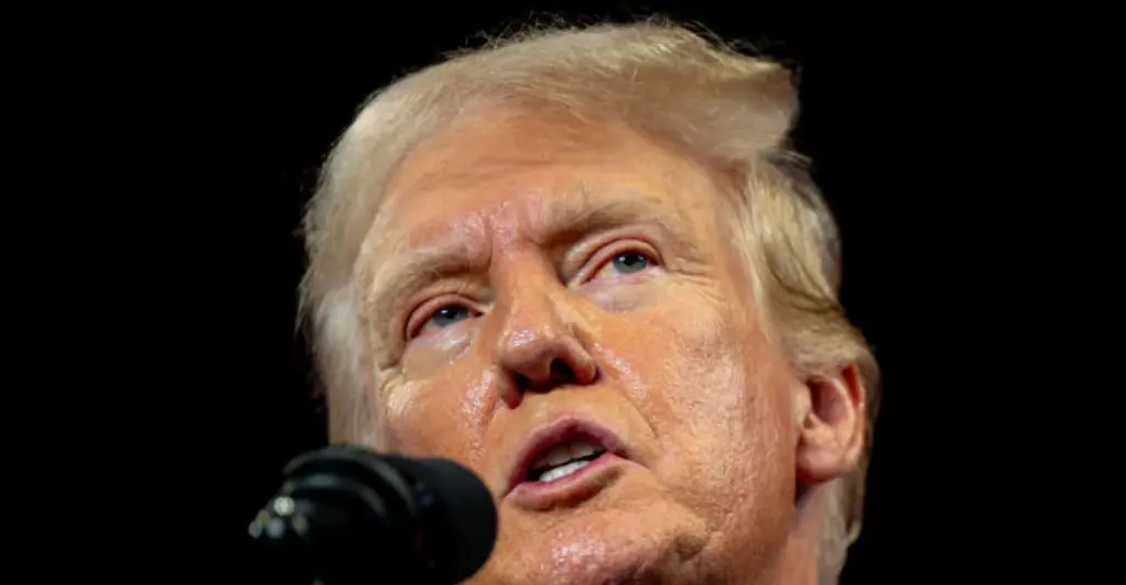 Donald Trump shares scathing response after FBI director questioned whether bullet hit his ear during assassination attempt