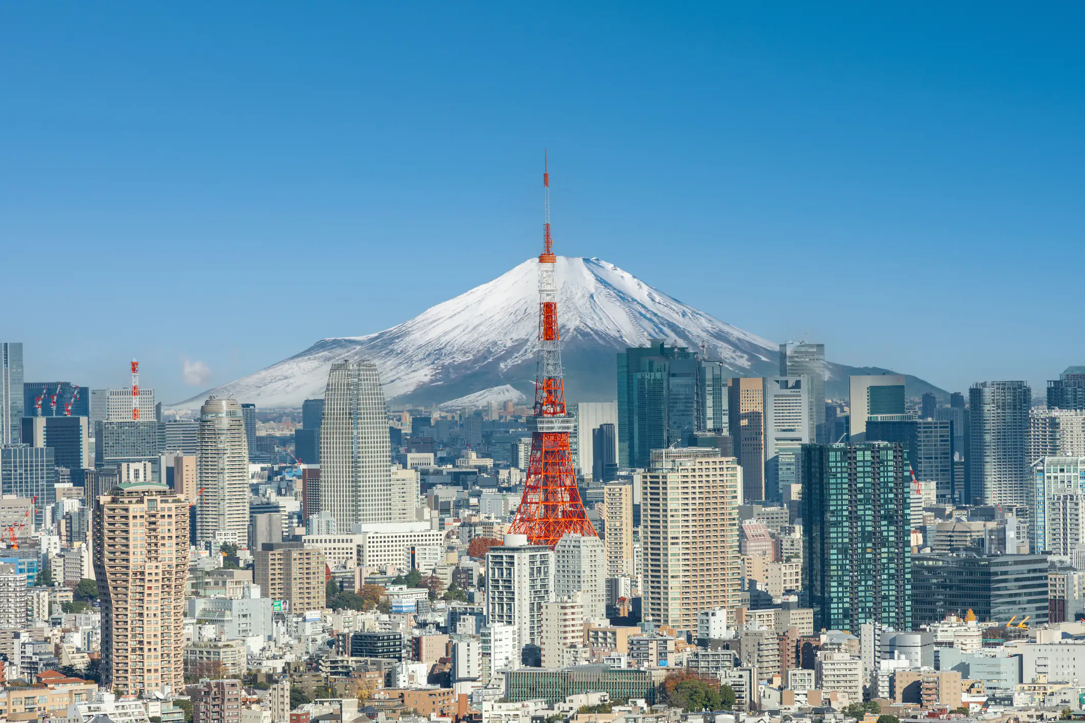Japan releases ‘terrifying’ video of disaster to warn residents to be prepared
