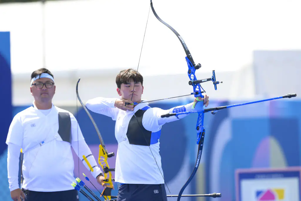 Bee spotted causing chaos during Olympics archery event