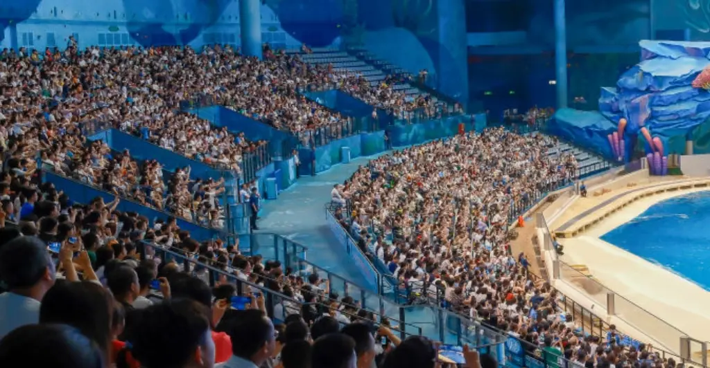 Dramatic video shows moment SeaWorld orca dragged trainer under water and held him there for 15 minutes