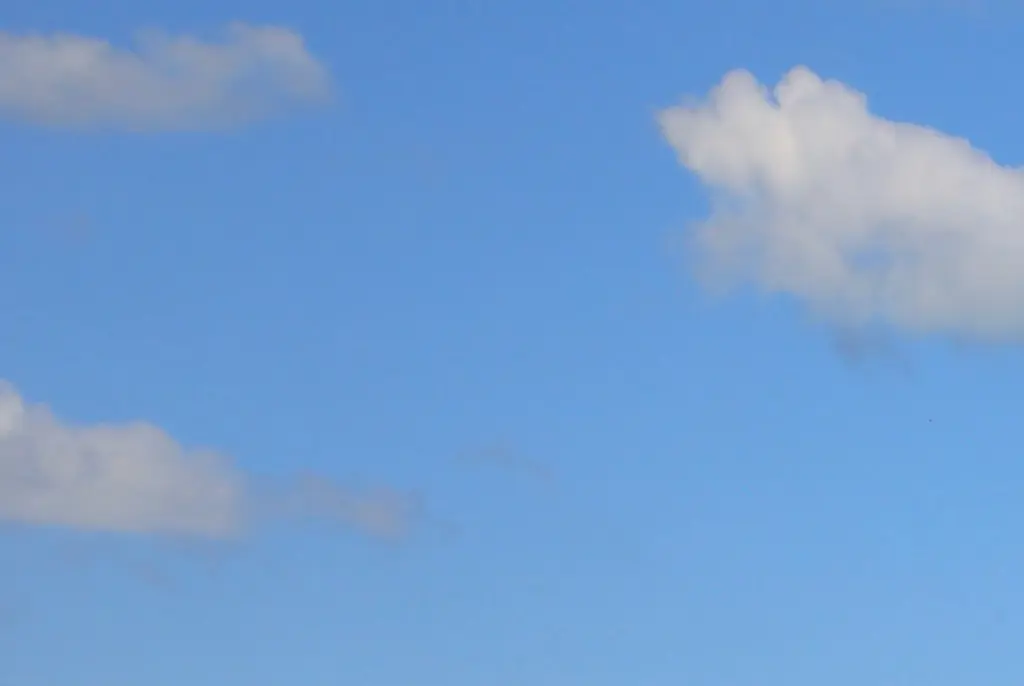 Chilling new details emerge after plane crash that killed family of doctors and athletes