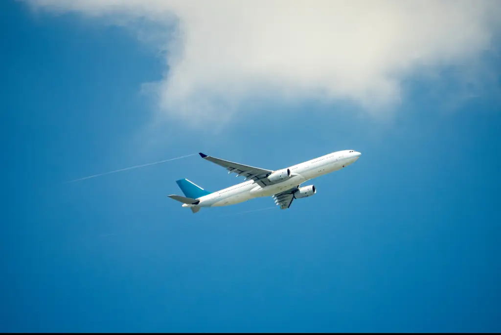 She feared the candle was in preparation for the plane crashing. Credit: Witthaya Prasongsin/Getty Images