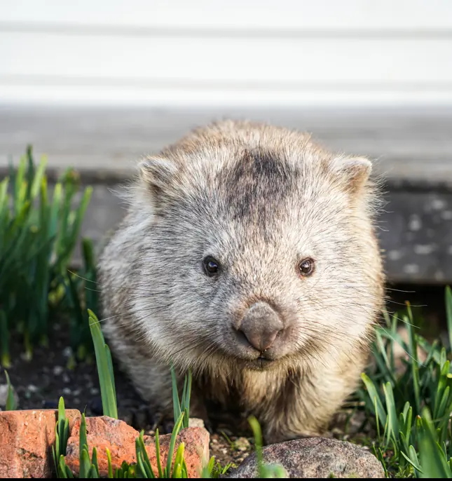 Credit: Tommy Chan / 500px