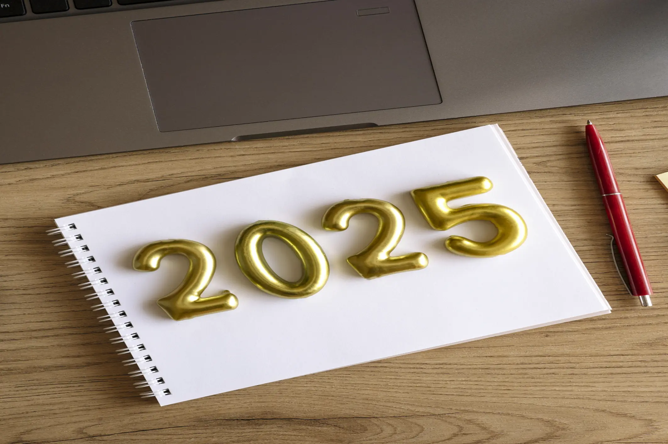 2025 is going to be a mixed bag if Baba Vanga is to be believed... Credit: Anna Blazhuk/Getty Images