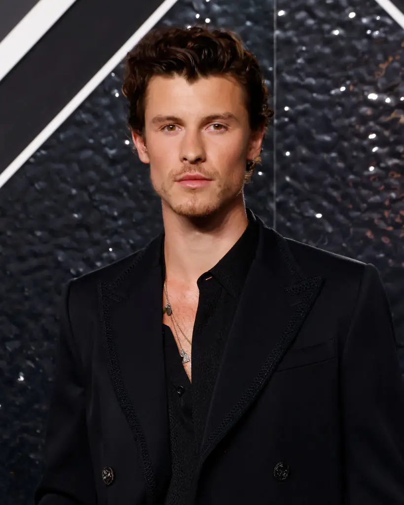 There is no romance between Mendes and Irwin. Credit: Taylor Hill / Getty