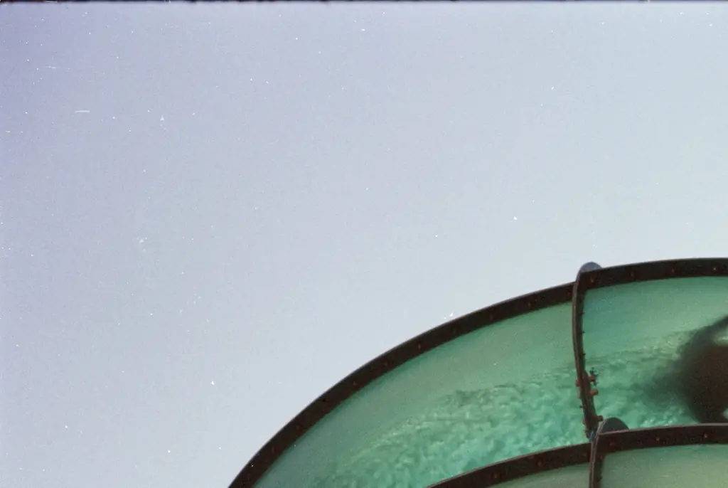 Harrowing details of how ten-year-old boy was decapitated on 'world's tallest waterslide'