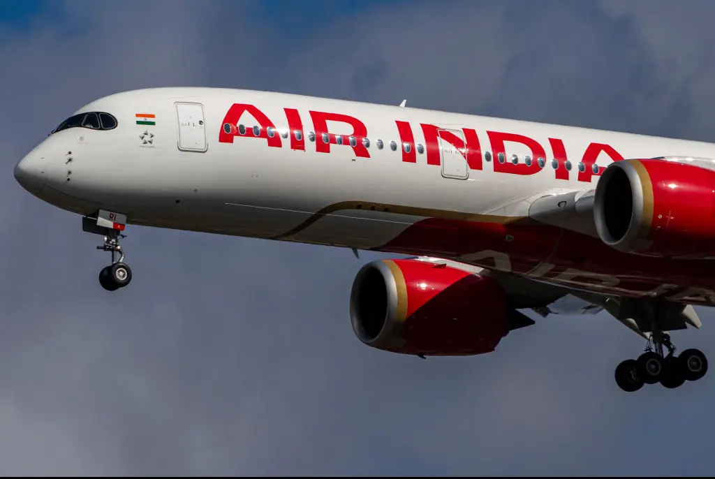 Aviation expert points to 'little grey dot' that could explain why Air India plane crashed in bombshell theory