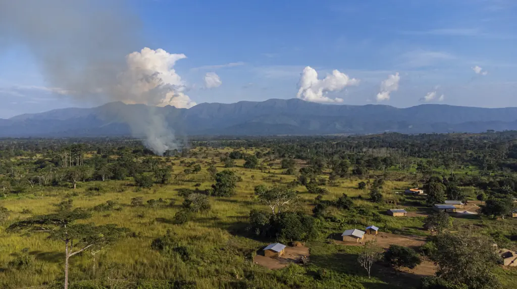 Mount Nimba Strict Nature Reserve. Credit: ImageBROKER/Michael Runkel / Getty