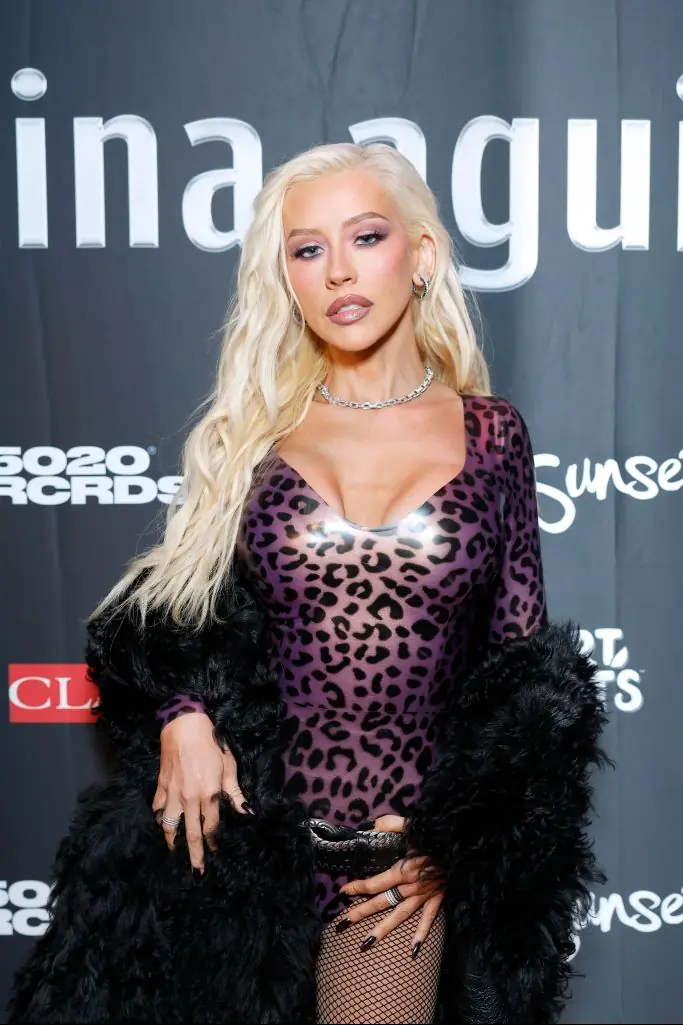 The five-time Grammy Award winner has found confidence in her own skin over the years. Credit: Stefanie Keenan/Getty Images for Christina Aguilera