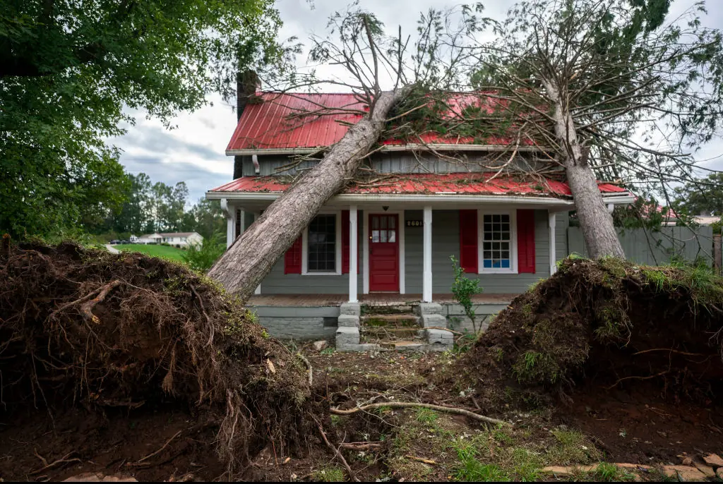 The grandparents were found hugging after a tree fell on them and killed them. Credit:  Sean Rayford/Getty