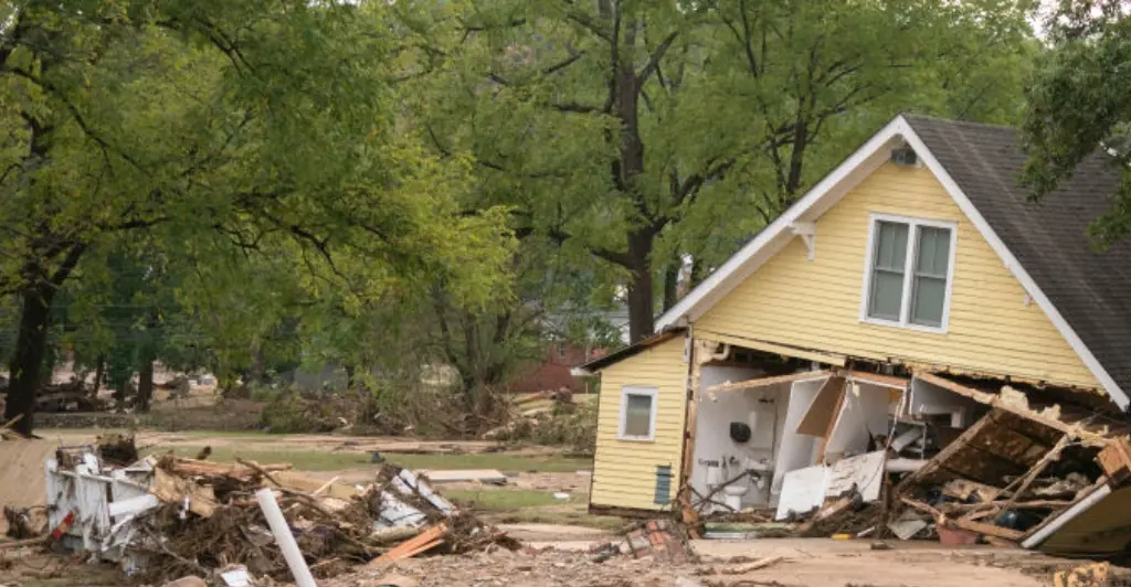 Grandparents were found hugging each other after being killed by tree falling on their home during Hurricane Helene