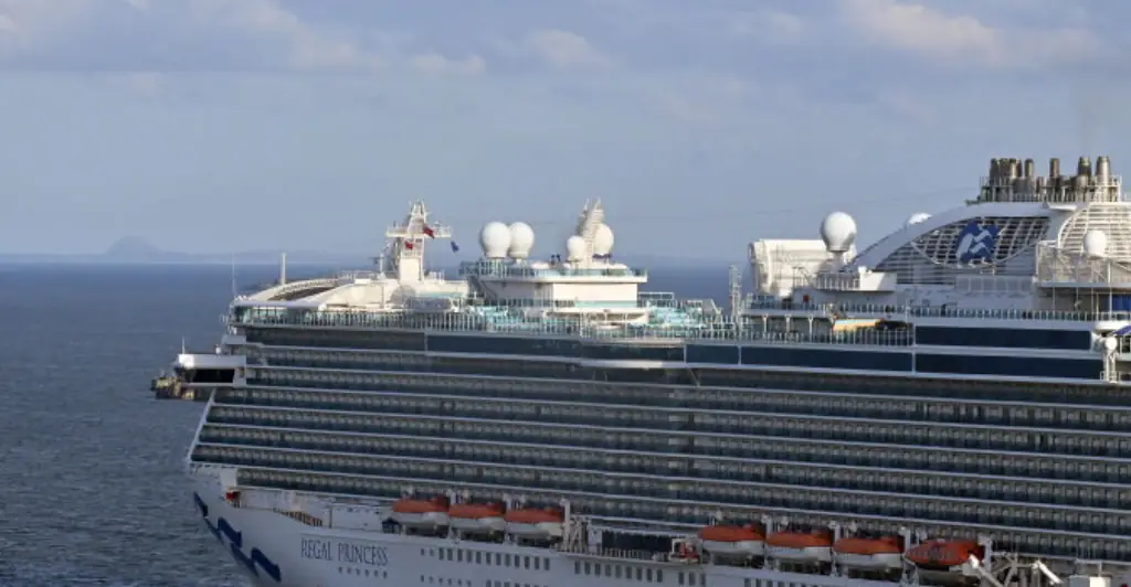 Princess Cruises passenger dies after 'attempting to jump overboard'