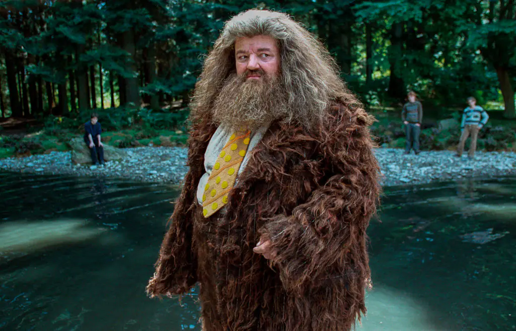 Coltrane brought Hagrid to life. Credit: Murray Close / Getty