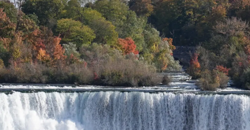 Police offer heartbreaking update on mom who 'intentionally' went over Niagara Falls with her two children