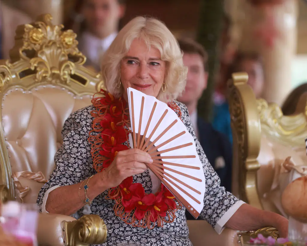 Buckingham Palace shares update on Queen Camilla's health