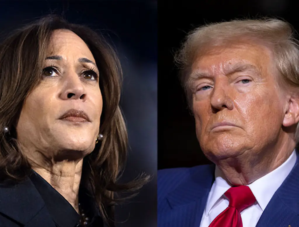 Kamala Harris and Donald Trump are the two top candidates. Credit: Getty Images