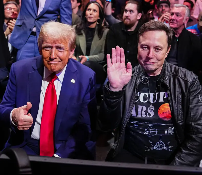 Some people have wondered what Elon Musk actually does. Credit: Jeff Bottari / Getty