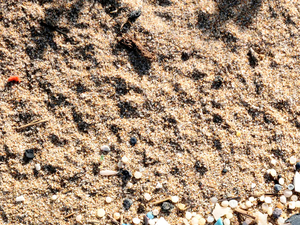 Microplastics have contaminated our oceans. Credit: Miguel Sotomayor / Getty