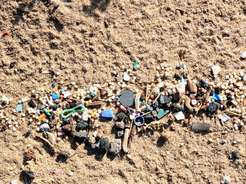 Microplastics have contaminated our oceans. Credit: Miguel Sotomayor / Getty