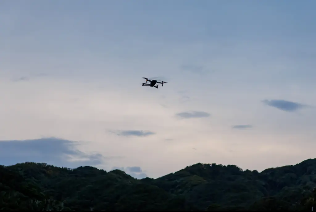 Credit: D3_plus D.Naruse @ Japan / Getty