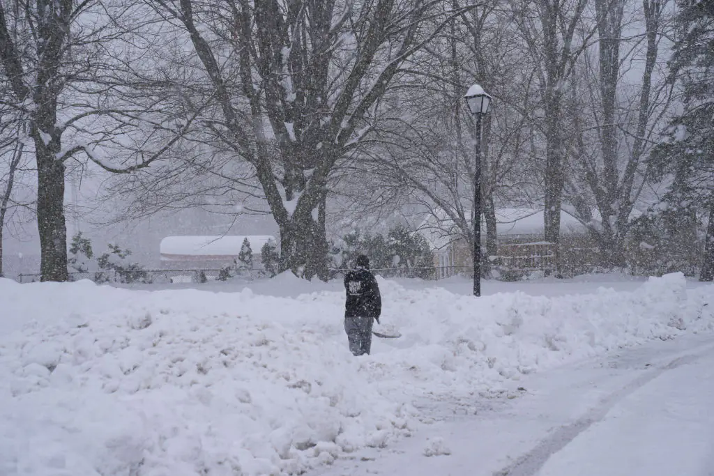 Ohio woman, 43, tragically dies after falling in freezing yard while letting dog out, sheriff's office says