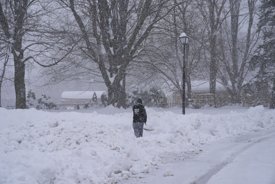 Ohio woman, 43, tragically dies after falling in freezing yard while letting dog out, sheriff's office says