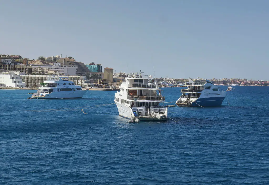 Tourist submarine company shares statement after six passengers die during trip to coral reef