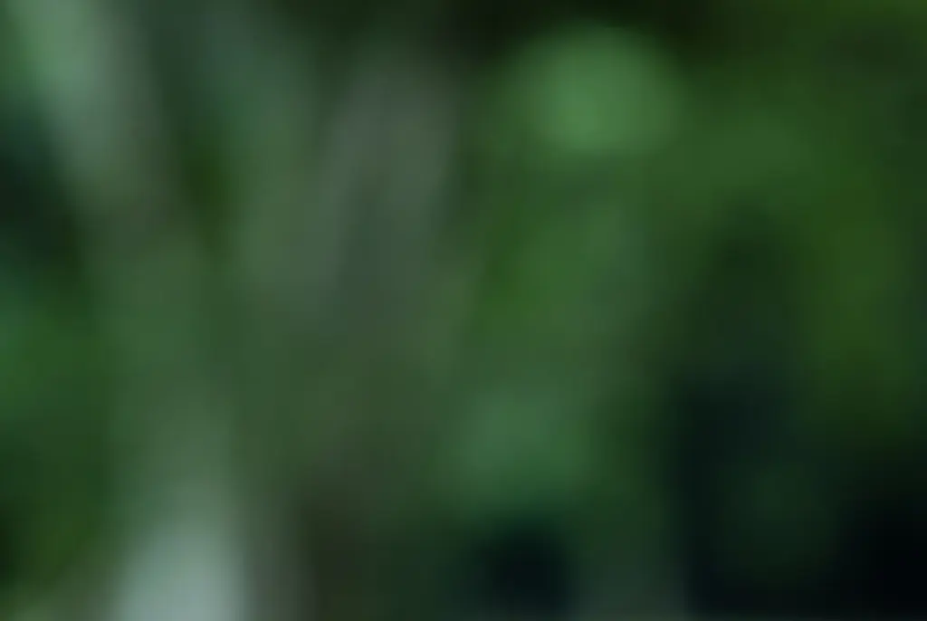 Scientific reason some people get bitten by mosquitos more than others